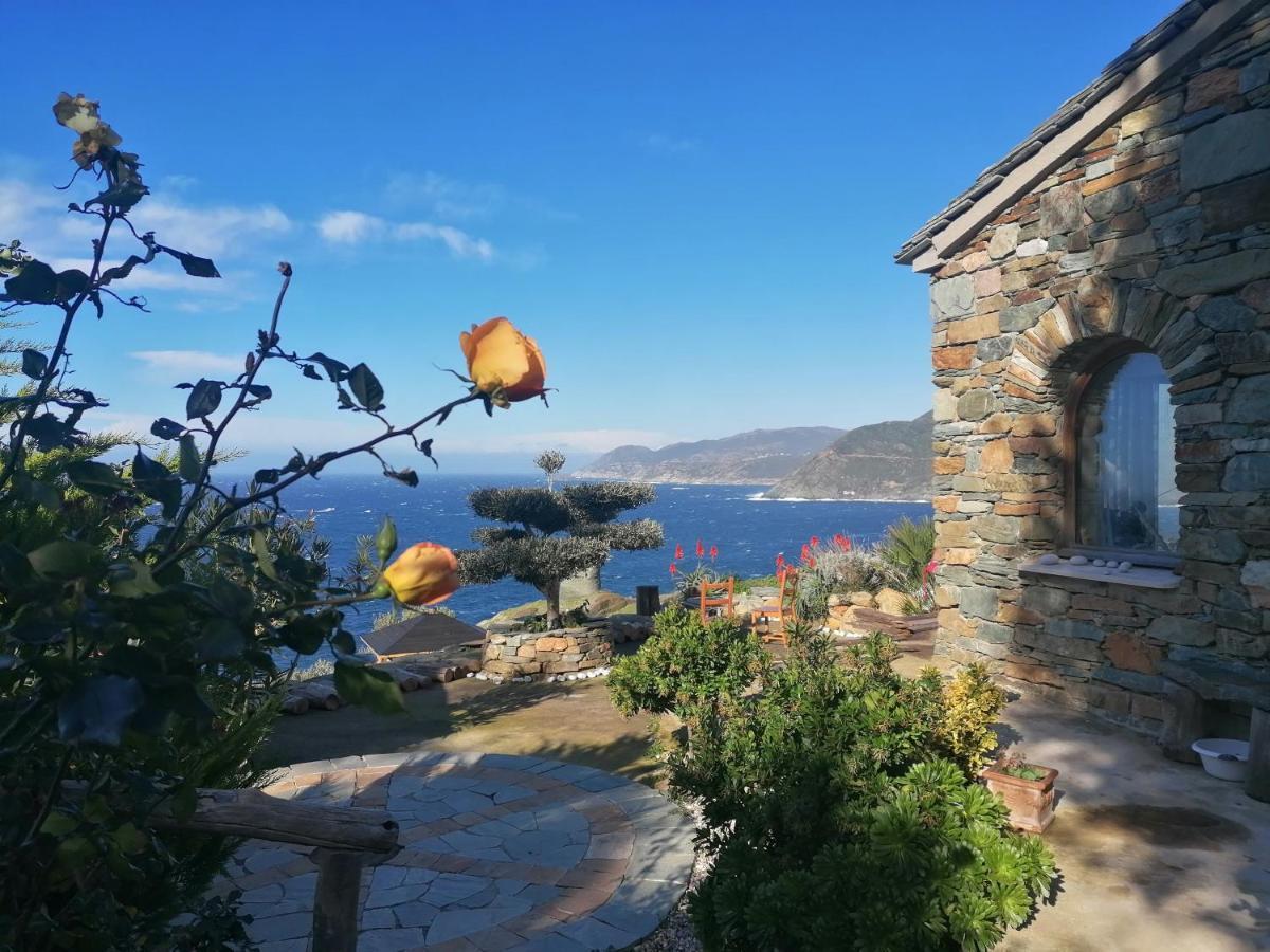 Coin De Paradis Vue Dominante Sur Mer, Montagne Et Tour Genoise Avec Jacuzzi Pino Exterior foto