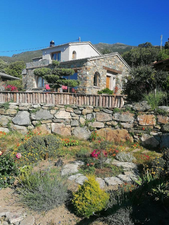 Coin De Paradis Vue Dominante Sur Mer, Montagne Et Tour Genoise Avec Jacuzzi Pino Exterior foto